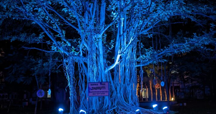 An image of a banyan tree, christened as Jagruti, illuminated by blue light in the darkness. VIsible is a board that reads "Banyan Tree / Jagruti / Transplanted from the main road (opp. IIIT) on 2nd Sept 2002."